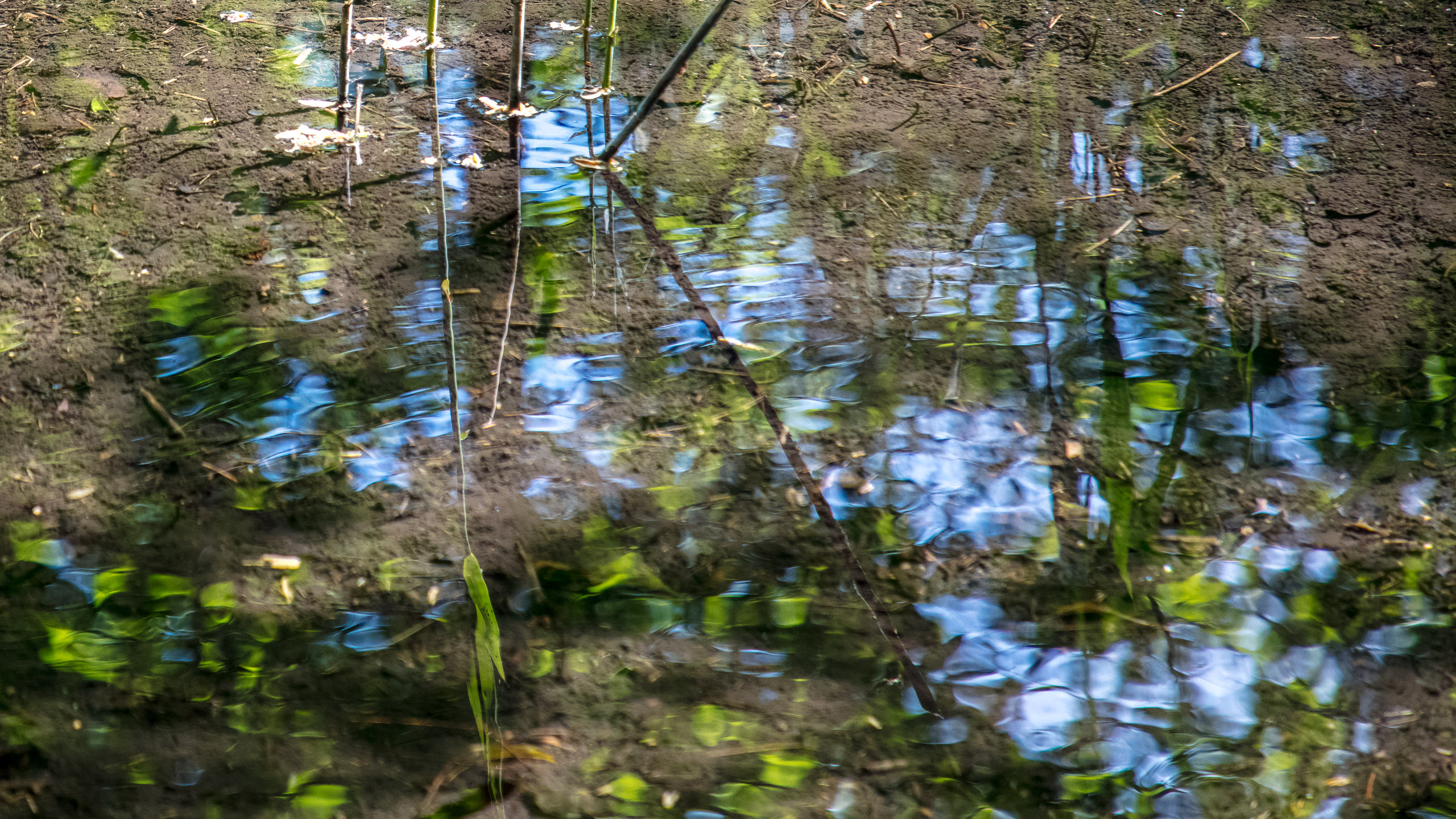 20220508124221 DP017525